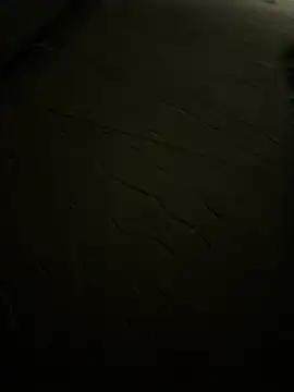 Foxfoxfox4 online show from 03-27-26, 04:08