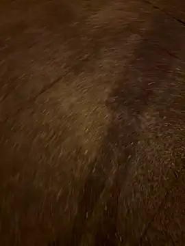 Foxfoxfox4 online show from 11-28-25, 01:00