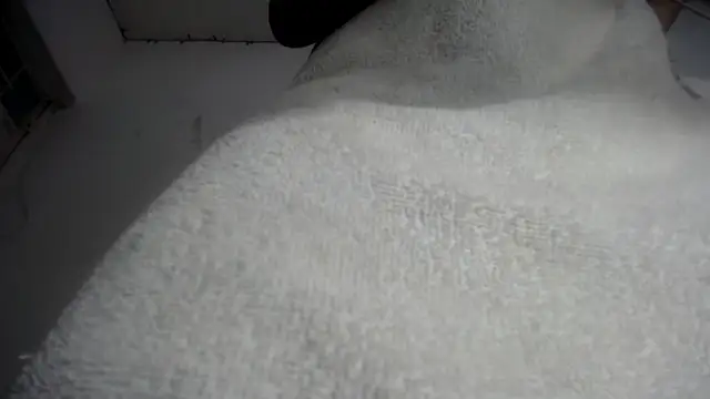 Foxy Lovex online show from 02-07-26, 10:18