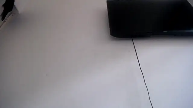 Foxy Lovex online show from 04-07-26, 10:11