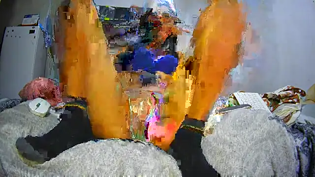 apoloniabelucci online show from 11-15-25, 12:53