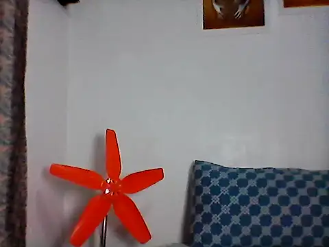 nhayasquirt online show from 10-28-25, 09:30