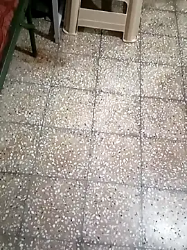 twpatil online show from 10-25-25, 04:33