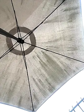 Sallem Pink online show from 12-20-25, 11:13