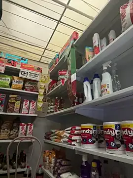 Sallem Pink online show from 02-13-26, 11:21