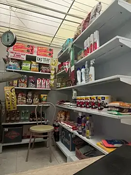 Sallem Pink online show from 02-14-26, 11:21