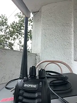 Sallem Pink online show from 03-12-26, 11:25