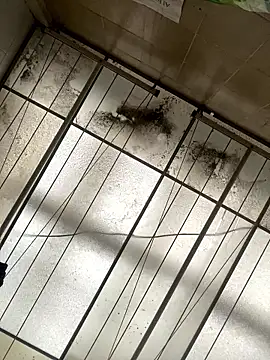 Sallem Pink online show from 01-16-26, 11:25