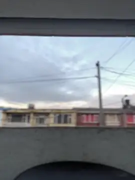 Sallem Pink online show from 03-13-26, 11:15