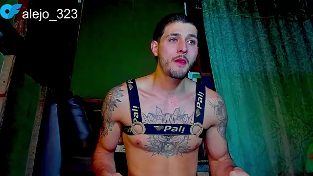 Snapshot of alejo__323__ chatting on 05-04-26, 03:10 alejo 323 online show from 05-04-26, 03:10
