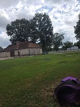 g0lden are0las89 online show from 09-23-25, 04:58