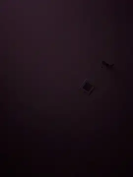 Cazzo1921 online show from 04-28-26, 07:40