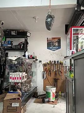 Terra-22cm online show from 01-05-26, 05:27