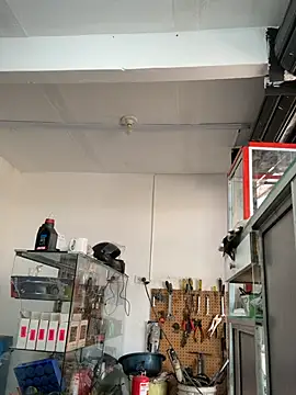 Terra-22cm online show from 03-01-26, 02:39