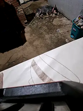 Snapshot of Negodabenga chatting on 10-27-25, 11:27 Negodabenga online show from 10-27-25, 11:27