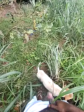 Snapshot of Negodabenga chatting on 02-13-26, 01:11 Negodabenga online show from 02-13-26, 01:11