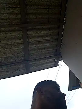 Snapshot of Negodabenga chatting on 02-20-26, 04:42 Negodabenga online show from 02-20-26, 04:42