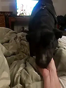 Snapshot of dandonn chatting on 02-27-25, 01:08 dandonn online show from 02-27-25, 01:08