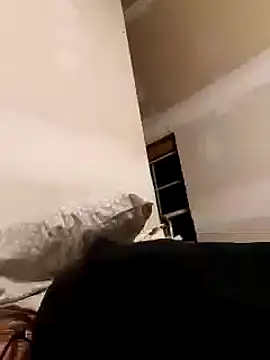 Snapshot of dandonn chatting on 01-25-25, 06:34 dandonn online show from 01-25-25, 06:34