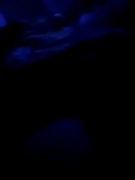 Georgerazvan1989 online show from 01-14-26, 06:17