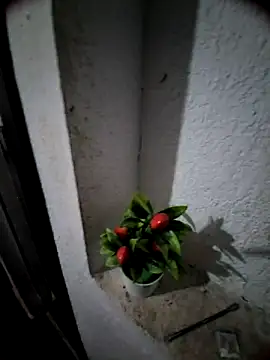 Snapshot of MIXJARABA chatting on 02-08-26, 08:01 MIXJARABA online show from 02-08-26, 08:01