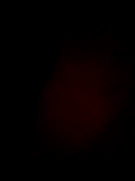 Daisygirl9 online show from 02-21-26, 06:10