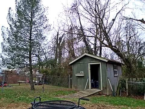 sloppytopkins online show from 11-21-25, 03:33