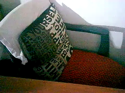 sacptjock83 online show from 12-17-25, 08:58