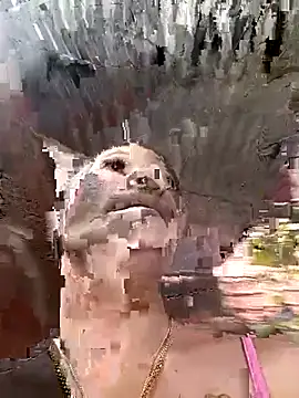 Rous-squir online show from 01-07-26, 07:08