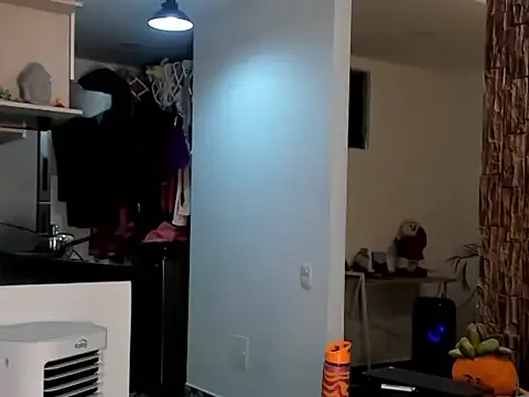 lia rip01 online show from 11-01-25, 03:02