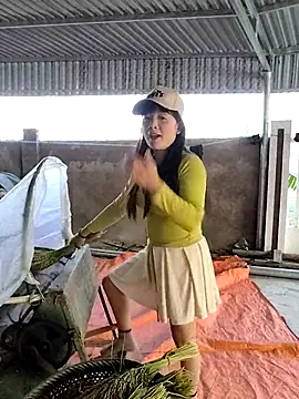 asian 2k online show from 11-13-25, 08:40