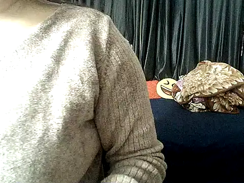 Anaconda-Mall online show from 12-04-25, 07:02