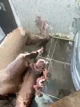 BatchedTracer online show from 04-03-26, 10:49