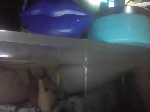 Snapshot of PenerPanShibari chatting on 07-05-26, 09:54 PenerPanShibari online show from 07-05-26, 09:54