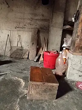 TinTin321 online show from 03-03-26, 05:25