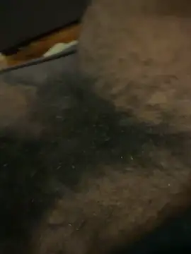 Snapshot of BigBDMari chatting on 02-05-26, 02:29 BigBDMari online show from 02-05-26, 02:29