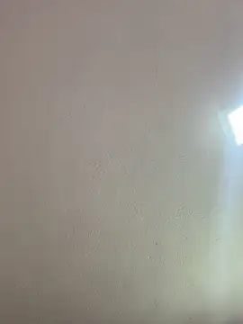 saranghae  online show from 03-28-26, 04:02