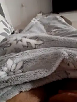 ratoncito 3 online show from 11-10-25, 12:59