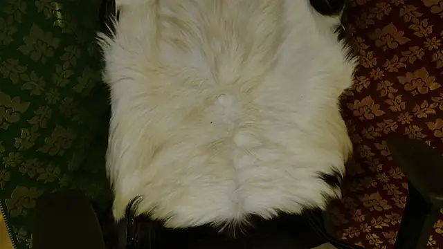 JUSTFORRICH online show from 04-20-26, 03:46