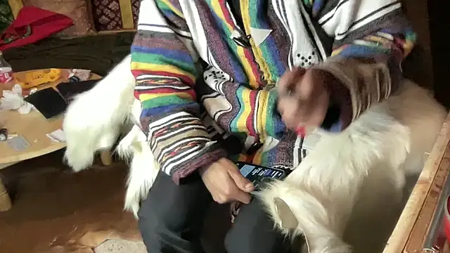 JUSTFORRICH online show from 12-23-25, 02:44