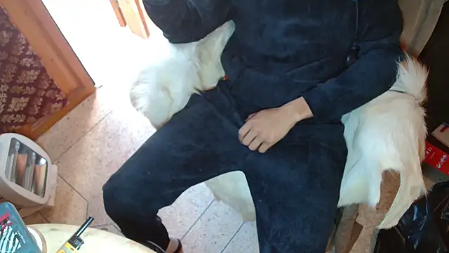 JUSTFORRICH online show from 01-07-26, 02:11