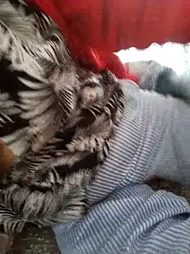 zerdaliii online show from 11-17-25, 05:55