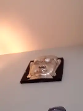 djcarey369159 online show from 04-05-26, 09:10