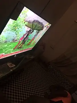 candospiriy online show from 02-23-26, 03:52