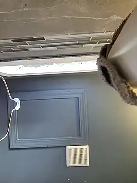 chocolate bella online show from 03-28-26, 12:50