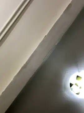 lynn9000 online show from 11-29-25, 09:09