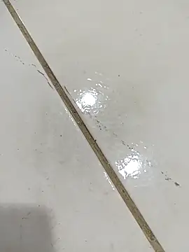 Snapshot of daring_lily chatting on 12-05-25, 02:00 daring lily online show from 12-05-25, 02:00