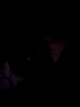 Steehood online show from 01-10-26, 05:47