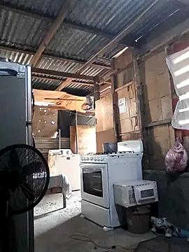 Steehood online show from 11-20-25, 02:51