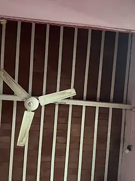 amitsharma7868 online show from 11-20-25, 09:21